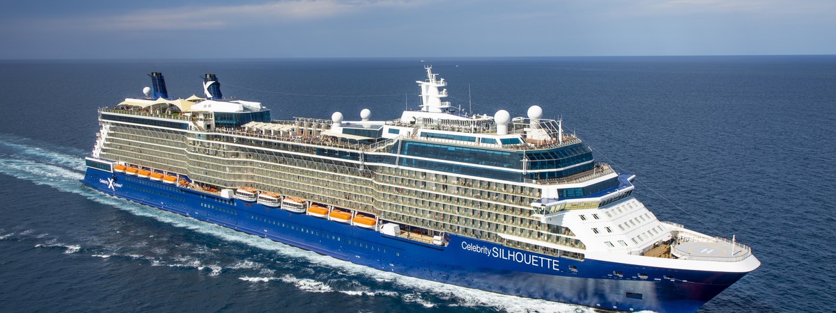 Celebrity Silhouette